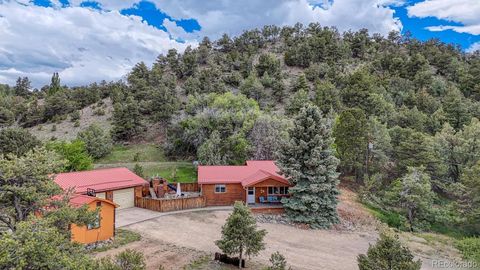 114 Loop Drive Howard CO 81233