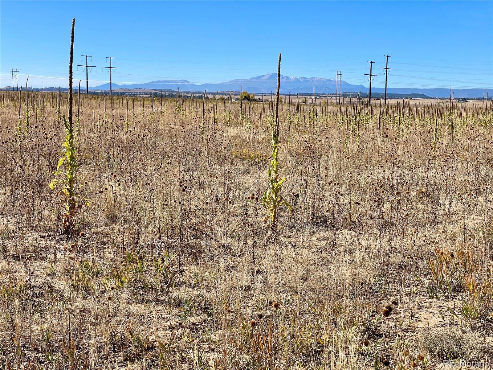 Parcel 2 County Road 98