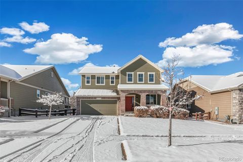 Photo of 12983 Norway Maple Street, Parker, CO 80134 (MLS # 8932342)