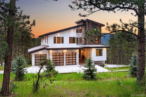 29822 Troutdale Scenic Drive Evergreen CO 80439