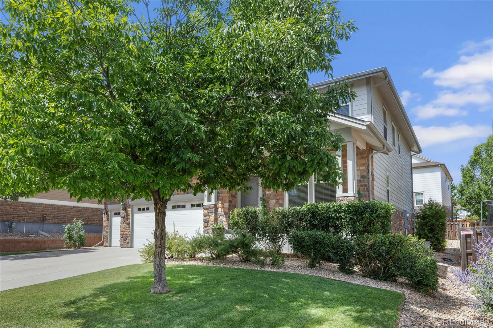 6247 S Muscadine Court