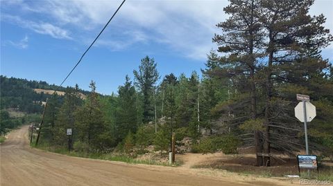 007 Virginia Canyon Road Central City CO 80427