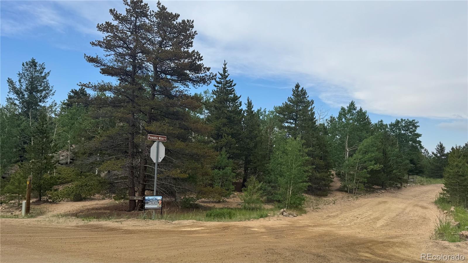 007 Virginia Canyon Road