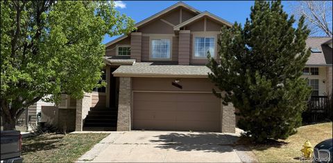 4778 N Bearlily Way Castle Rock CO 80109