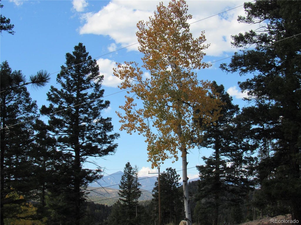 Photo of 10198 Hutch Lane, Conifer, CO 80433 (MLS # 1621090)