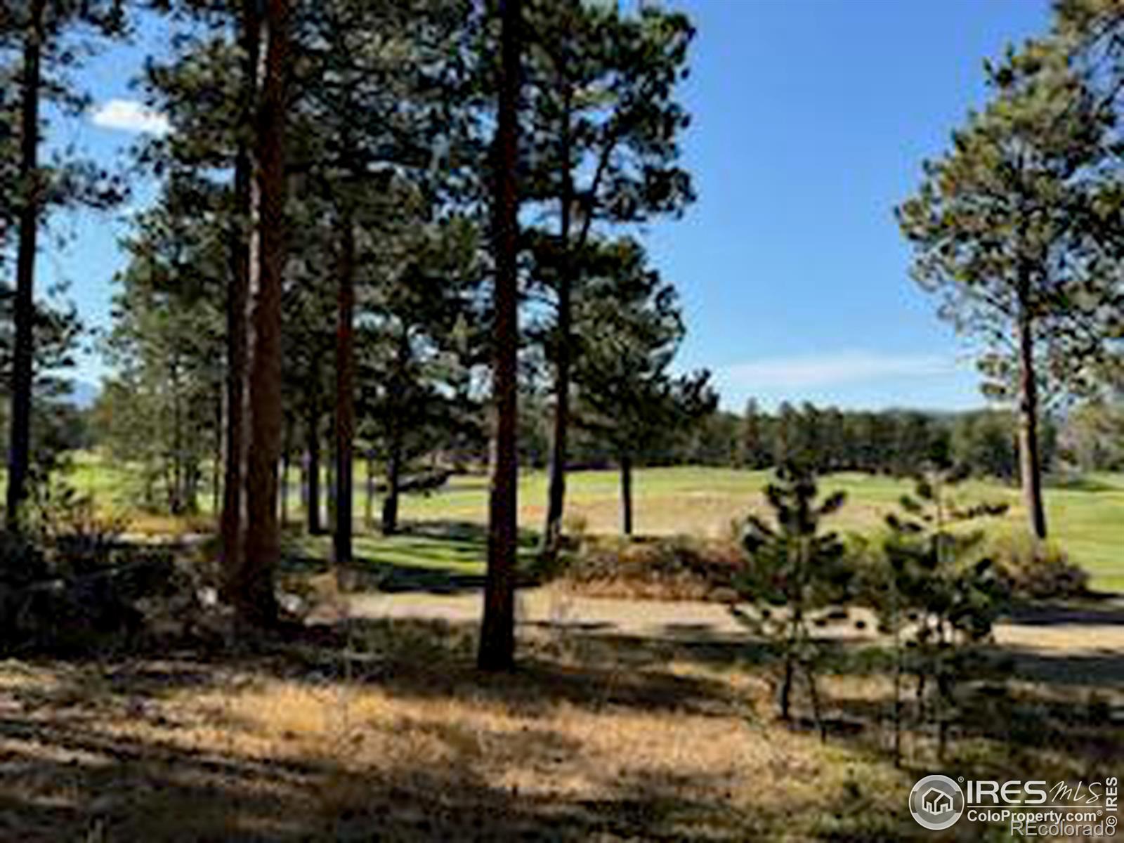 2221 E Fox Acres Drive E