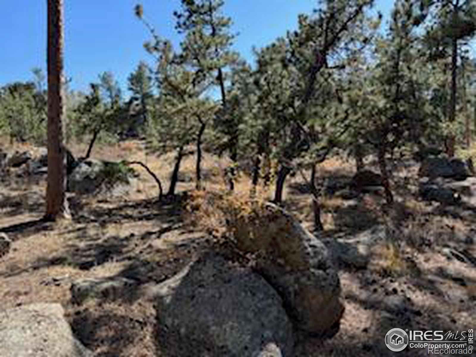 2221 E Fox Acres Drive E