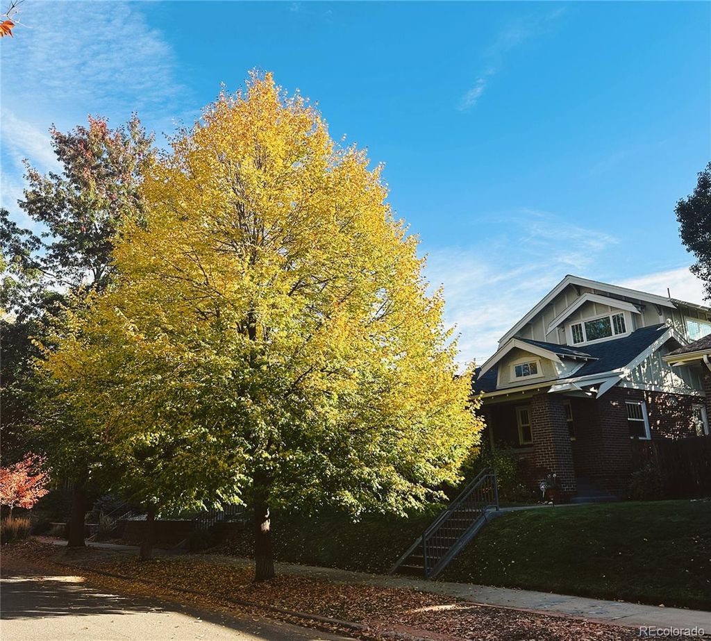 Photo of 1048 S Vine Street, Denver, CO 80209 (MLS # 5316303)