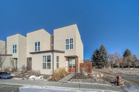 1005 Dezi Drive D Salida CO 81201