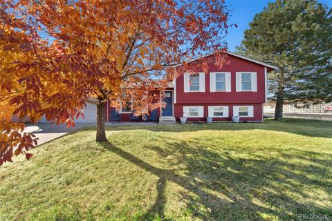 4309 S Youngfield Street, Morrison, CO 80465 - #: 8060118