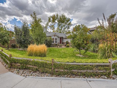 460 Snowy Owl Place, Highlands Ranch, CO 80126 - #: 3460420