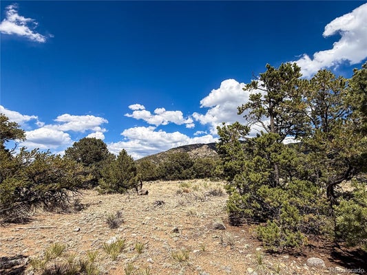 107 CROSSTIMBER LN, MOSCA, CO 81146 - Image 1f1f3c2d7babfd1de2278b52ca0d11da/3866257355