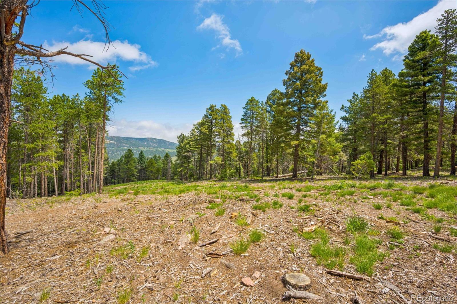 12329 Powhatan Trail