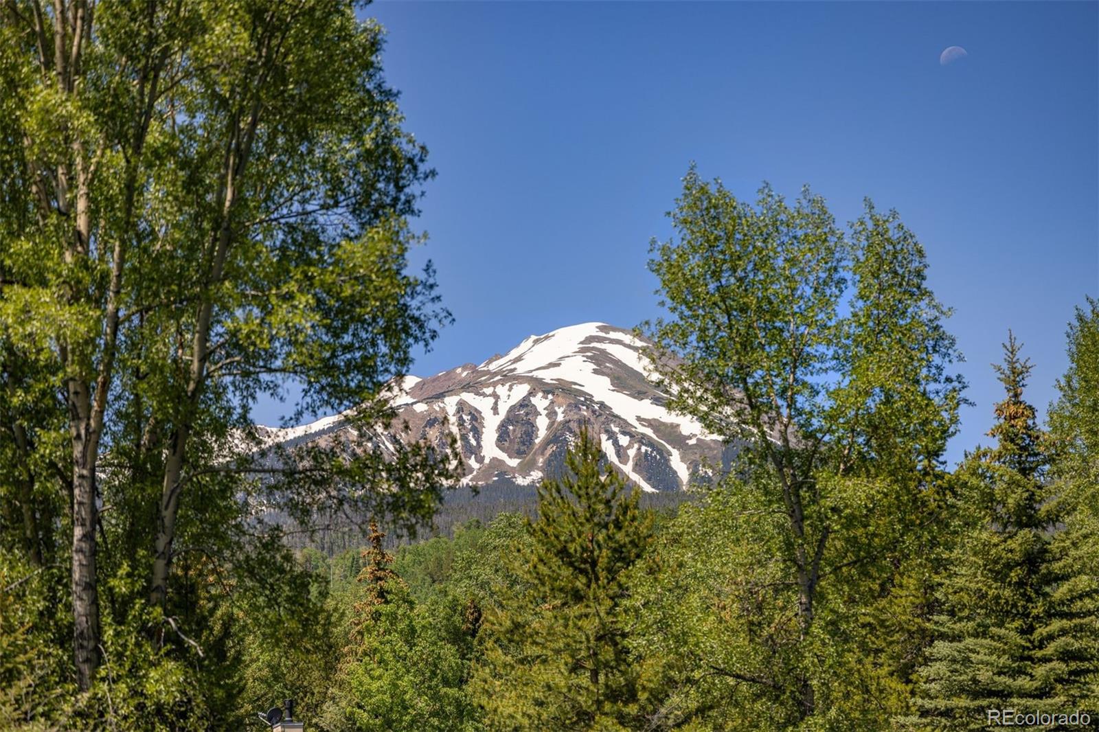 486 Sage Creek Canyon Drive