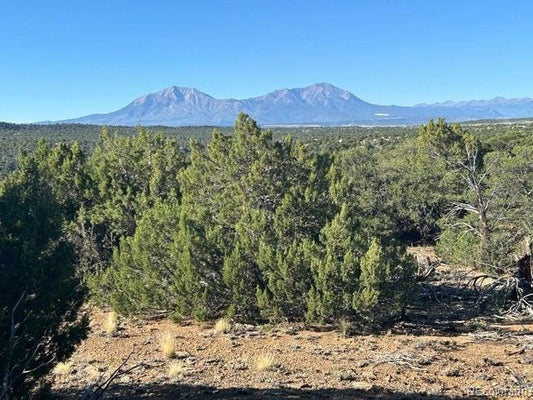 LOT 12 CITY RANCH PROPERTY, WALSENBURG, CO 81089 - Image 1f3fd4a3aa12aff43516ff6befa4e8dd/793791081