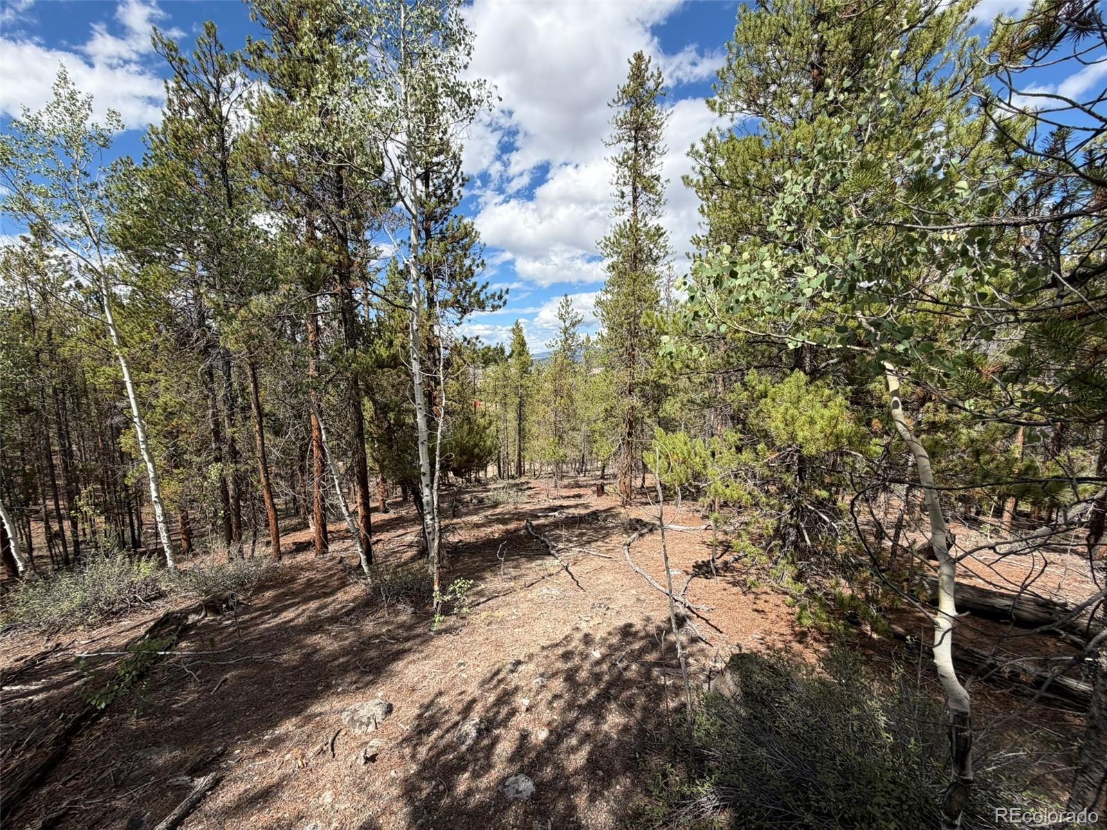 105 Parry Peak Drive