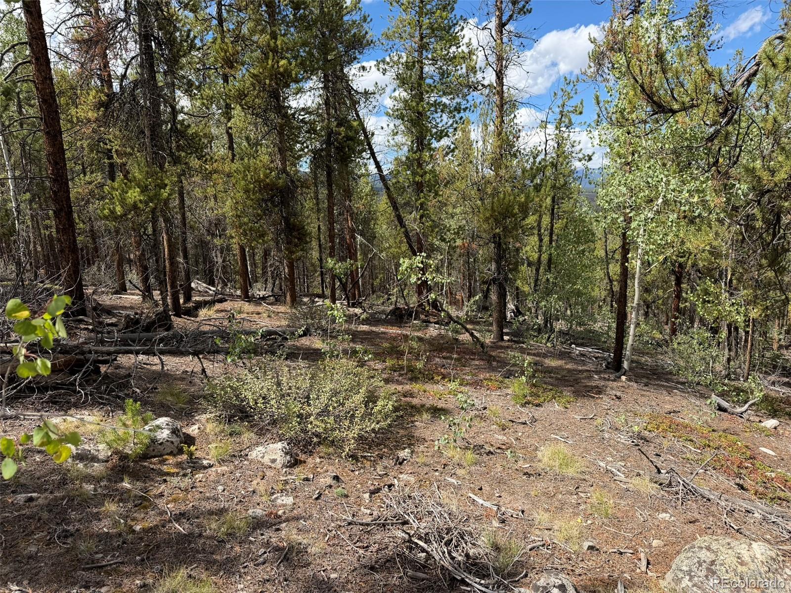 105 Parry Peak Drive