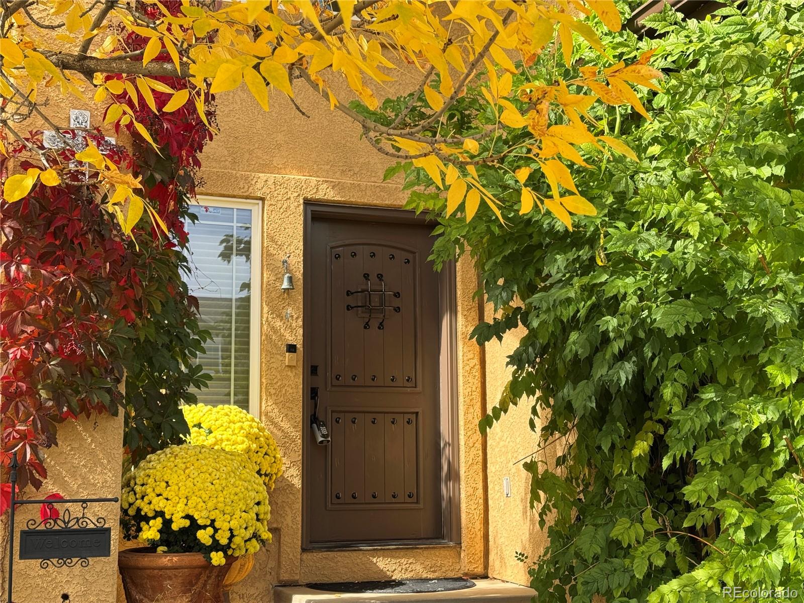 6706 Dream Weaver Drive