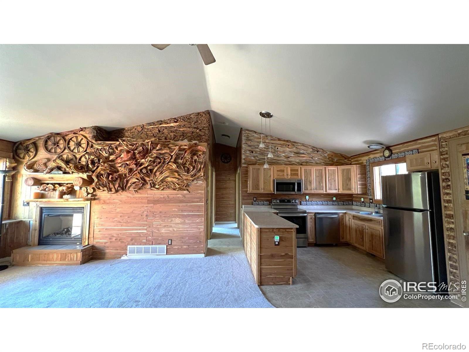 303 Virginia Road E, Bailey, CO, 80421 4 303 Virginia Road E