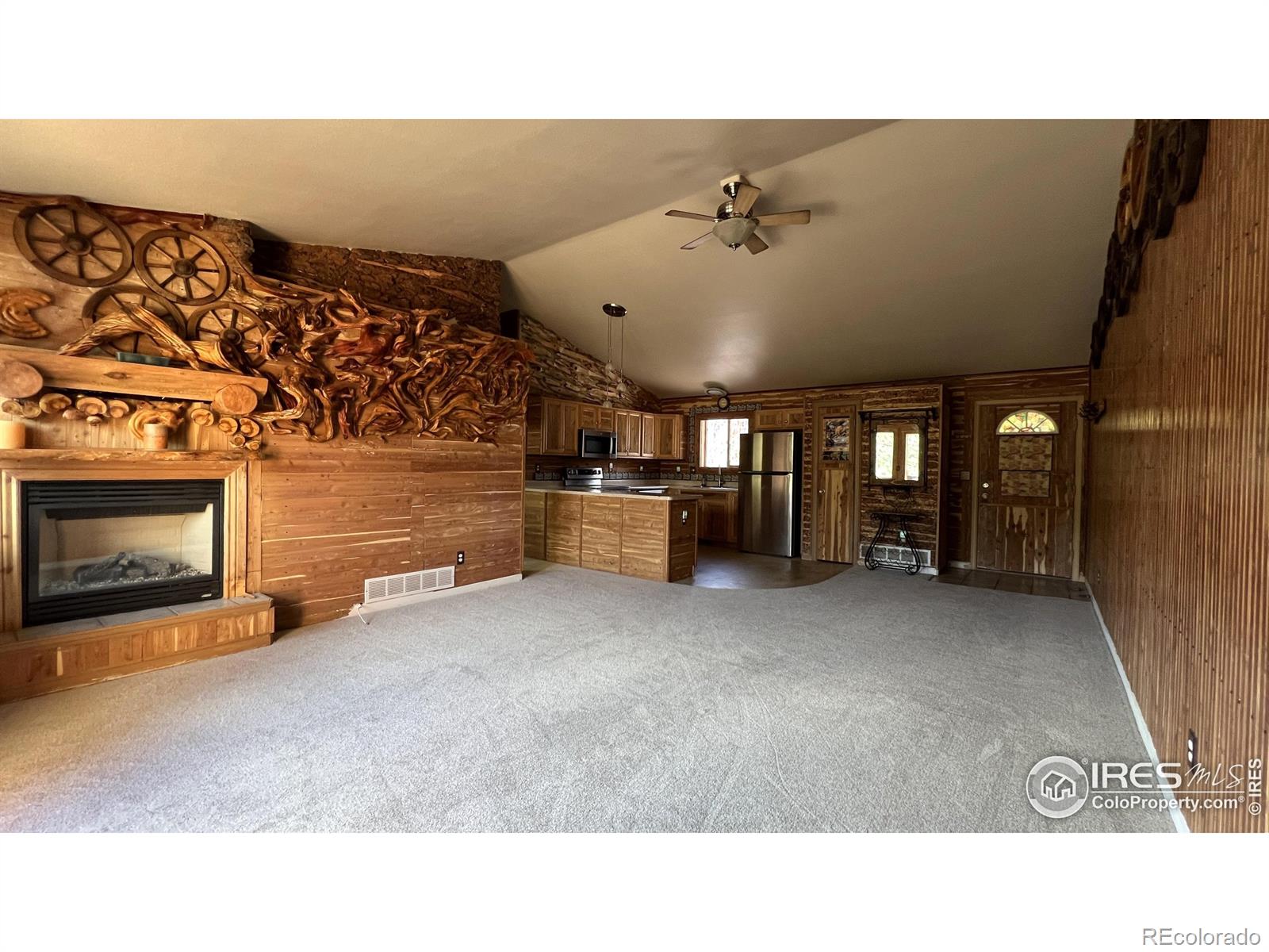 303 Virginia Road E, Bailey, CO, 80421 2 303 Virginia Road E