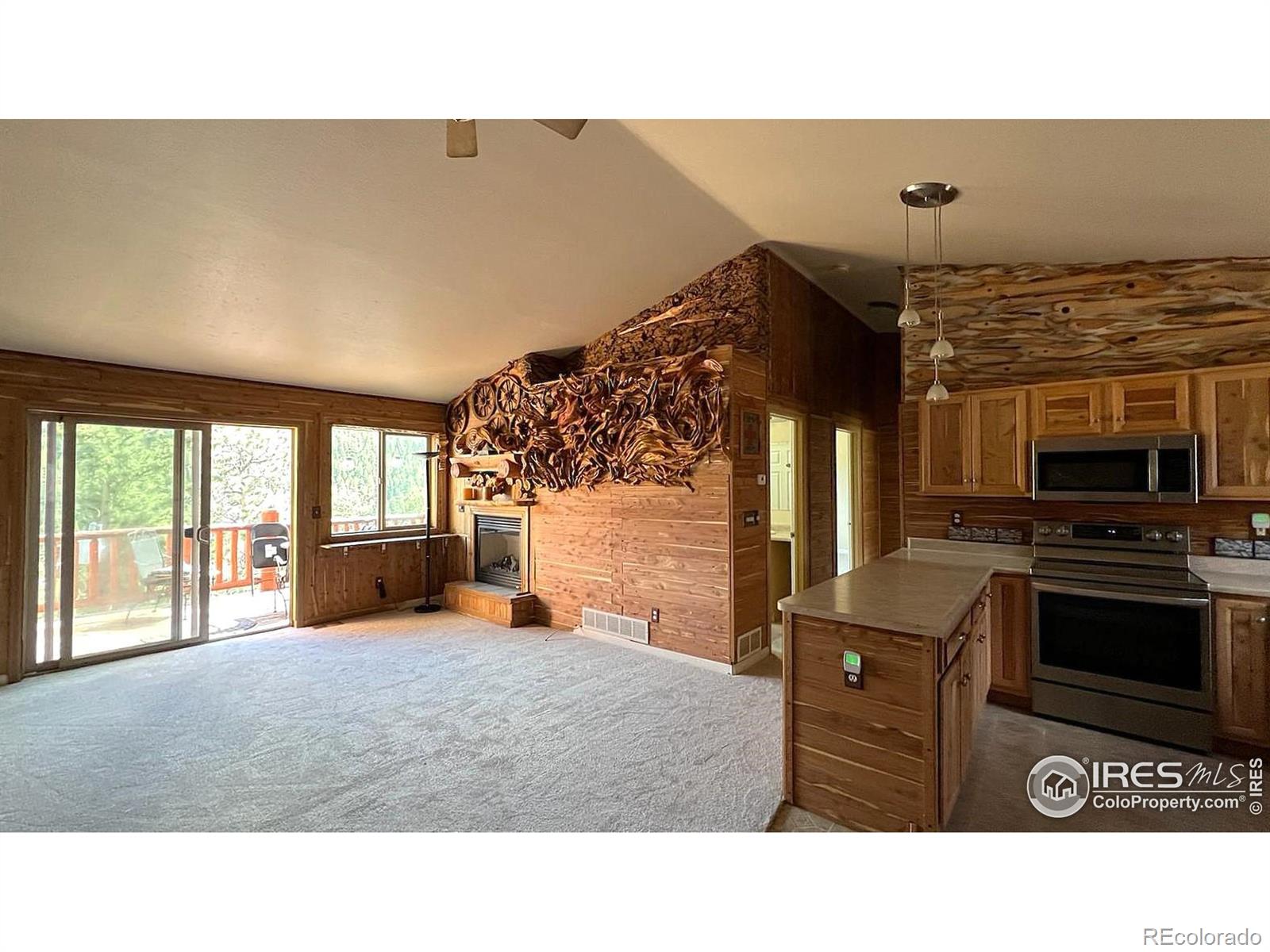 303 Virginia Road E, Bailey, CO, 80421 1 303 Virginia Road E