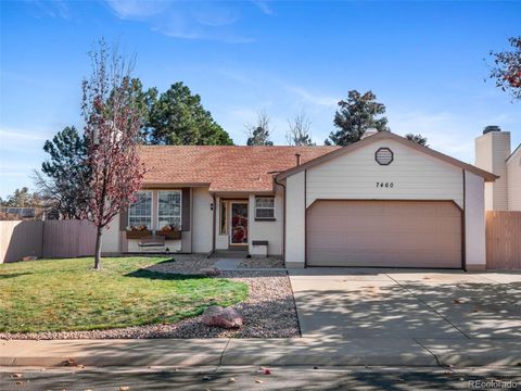 Photo of 7460 Chase Drive, Arvada, CO 80003 (MLS # 2379587)