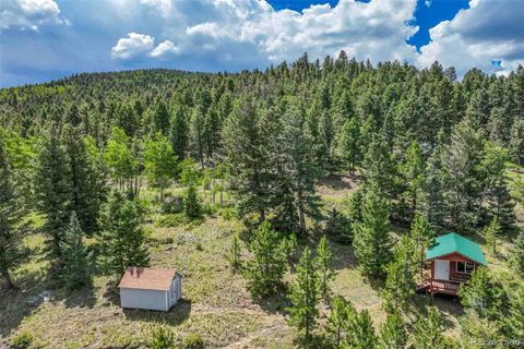 377 Cover Valley Road, Guffey, CO 80820 - #: 4546660