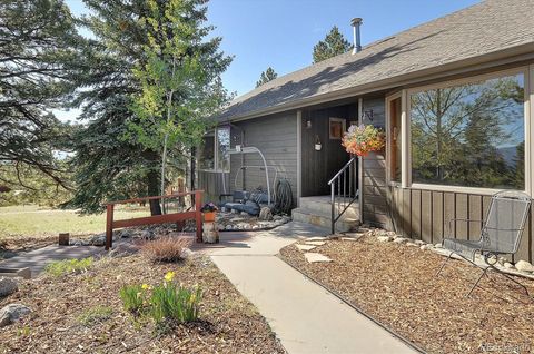18360 Trail West Drive Buena Vista CO 81211