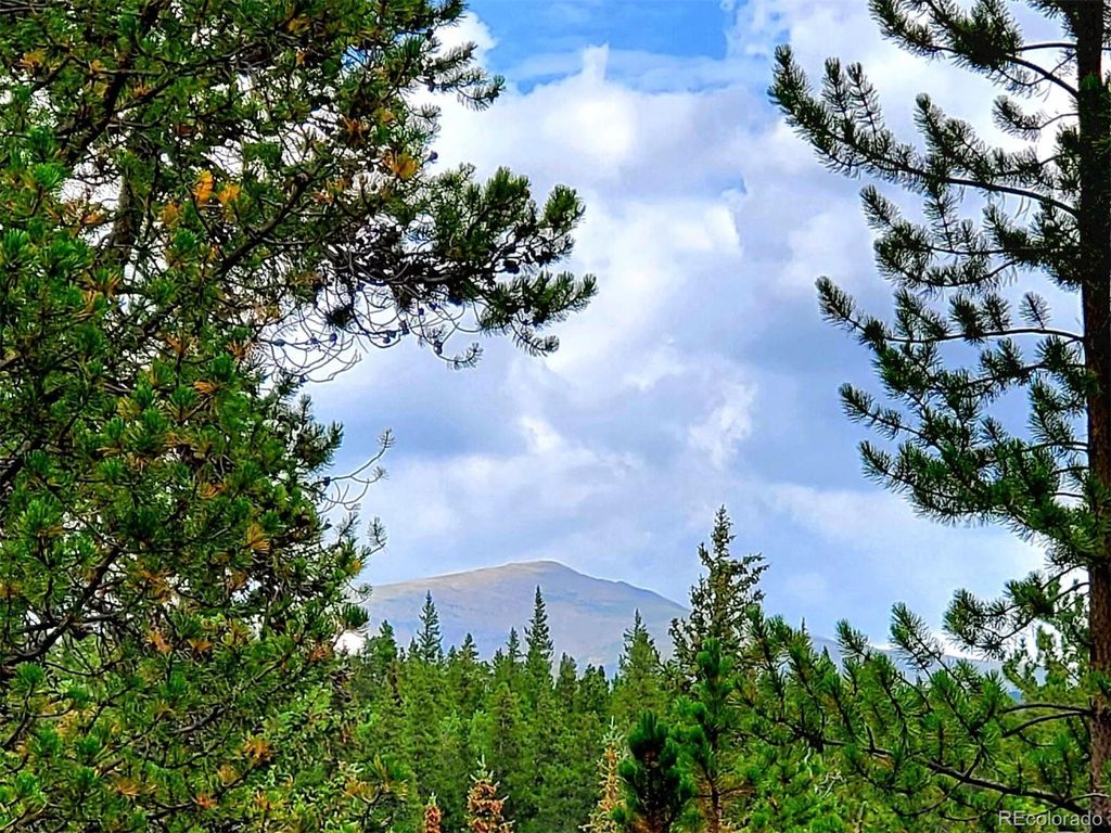 Photo of 211 Pine Ridge Road, Alma, CO 80420 (MLS # 9265826)