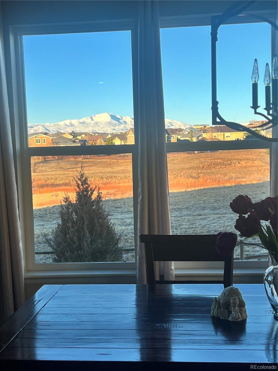 10952 Torreys Peak Way