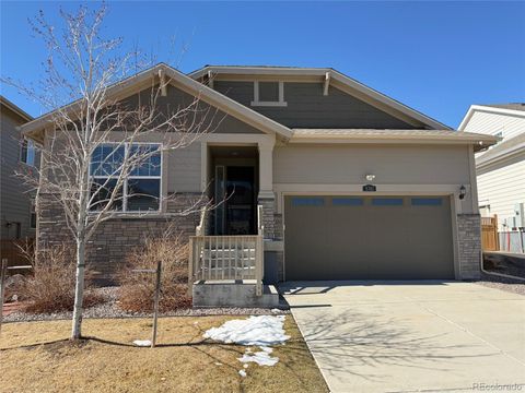 8741 Ginkgo Loop Parker CO 80134