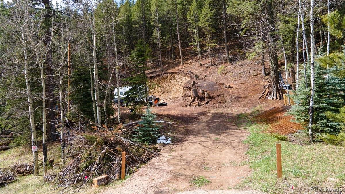 1521 Witter Gulch Road