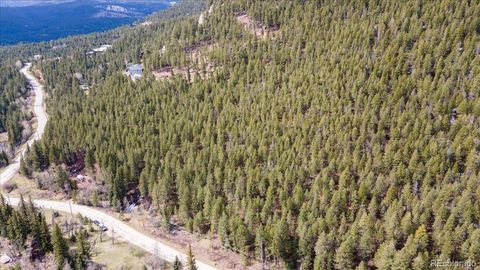 1521 Witter Gulch Road Evergreen CO 80439