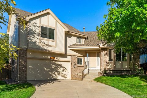 9214 Buttonhill Court, Highlands Ranch, CO 80130 - #: 5499040