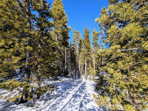 Lot 234 Alice Road Idaho Springs CO 80453
