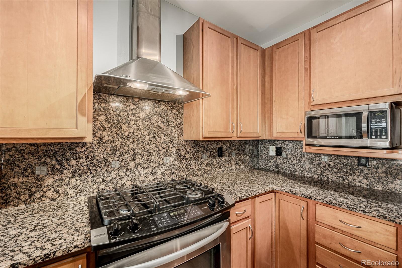 1313 S Clarkson Street 305