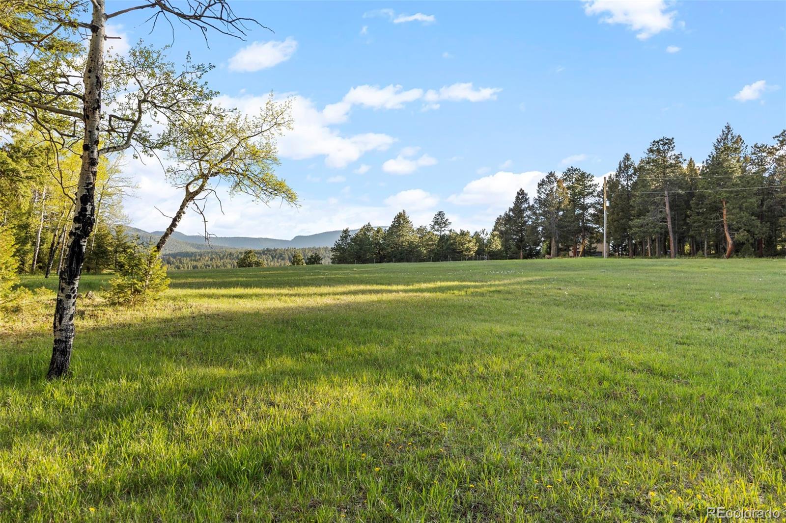 8821 Blue Creek Road