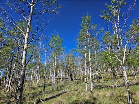 Unimproved Land in Fairplay CO 508 Lumber Jack Road 6.jpg