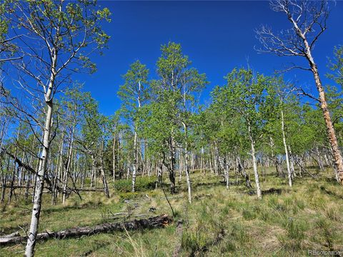 Unimproved Land in Fairplay CO 508 Lumber Jack Road 7.jpg