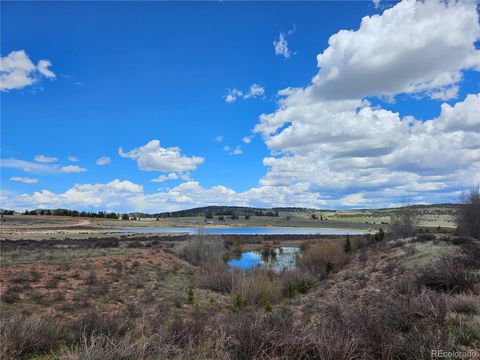 Unimproved Land in Fairplay CO 508 Lumber Jack Road 40.jpg