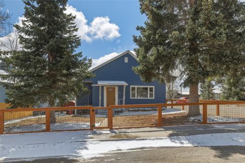 231 W 8th Street Leadville CO 80461