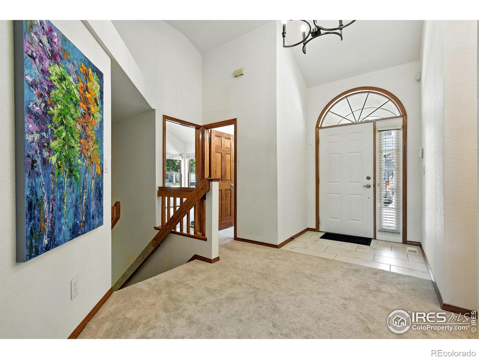 203 Springs Drive