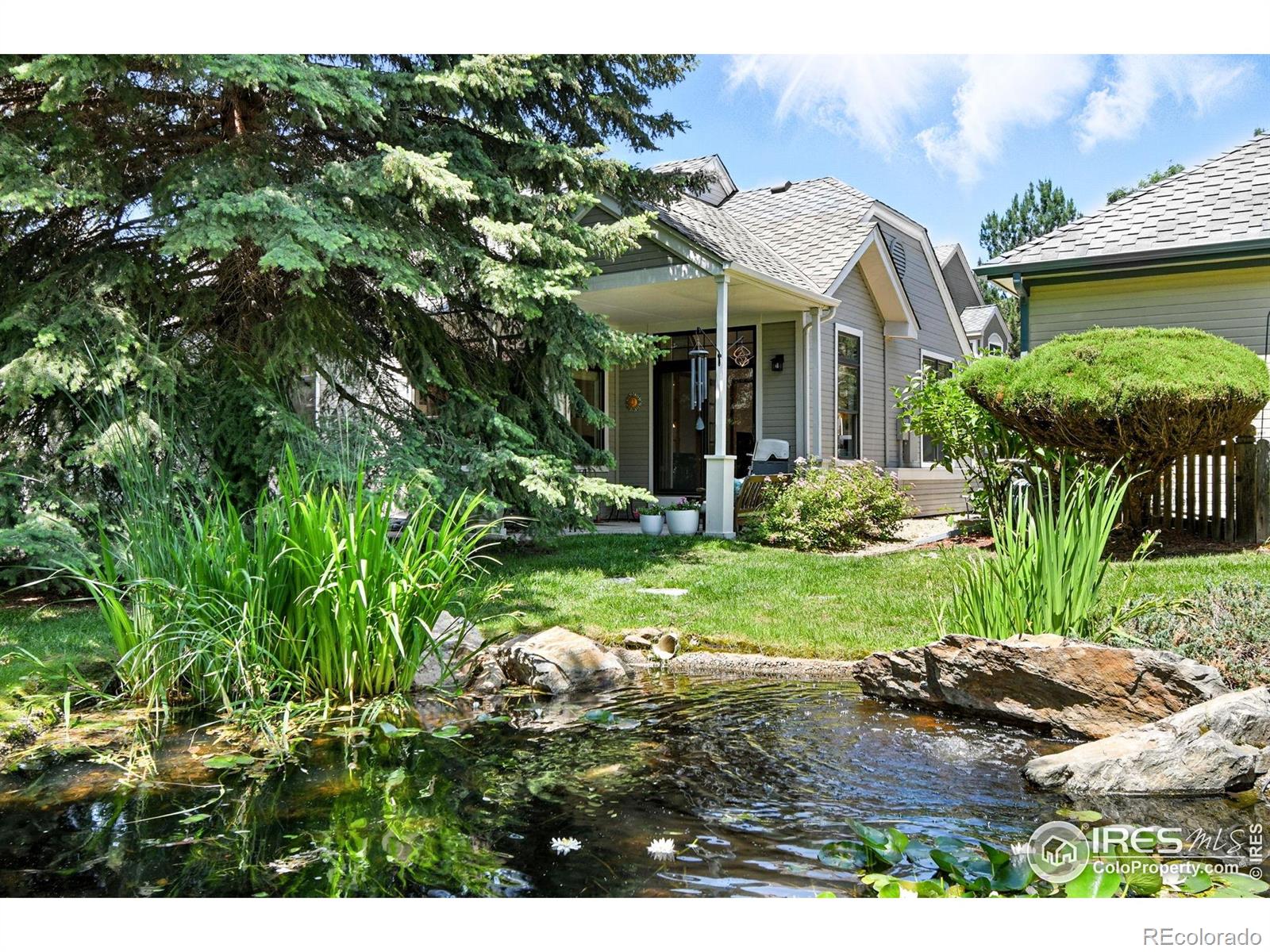 203 Springs Drive