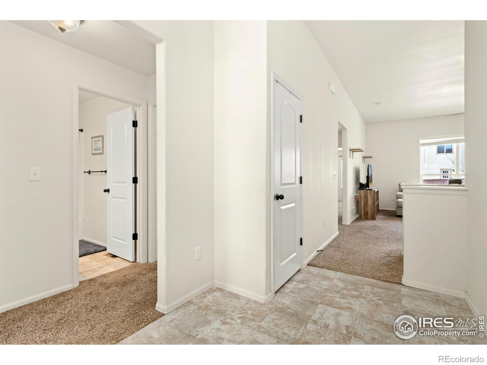 1484 First Light Drive, Windsor, CO, 80550 1 1484 First Light Drive