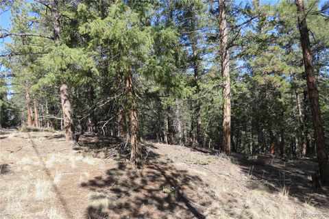 Unimproved Land in Pine CO 00 Persistance Avenue.jpg