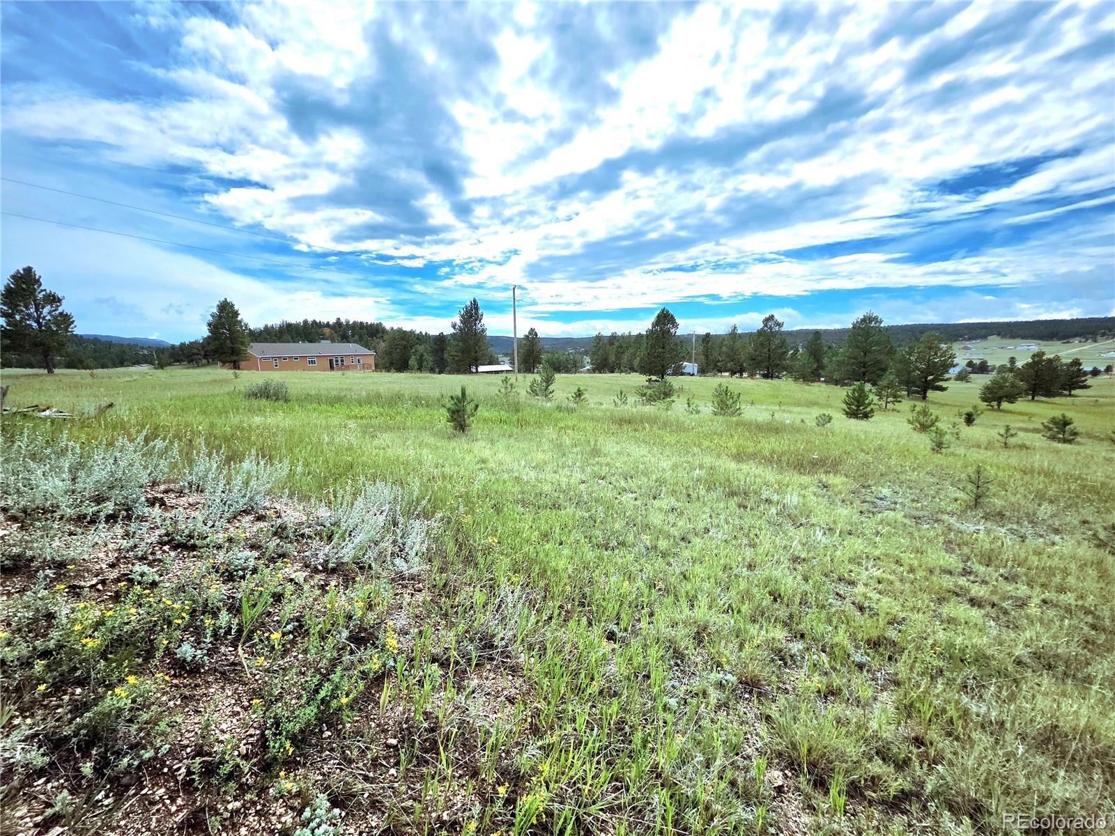 891 S Mountain Estates Road, Florissant, CO, 80816 7 891 S Mountain Estates Road