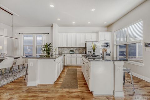 2861 Lima Street Denver CO 80238