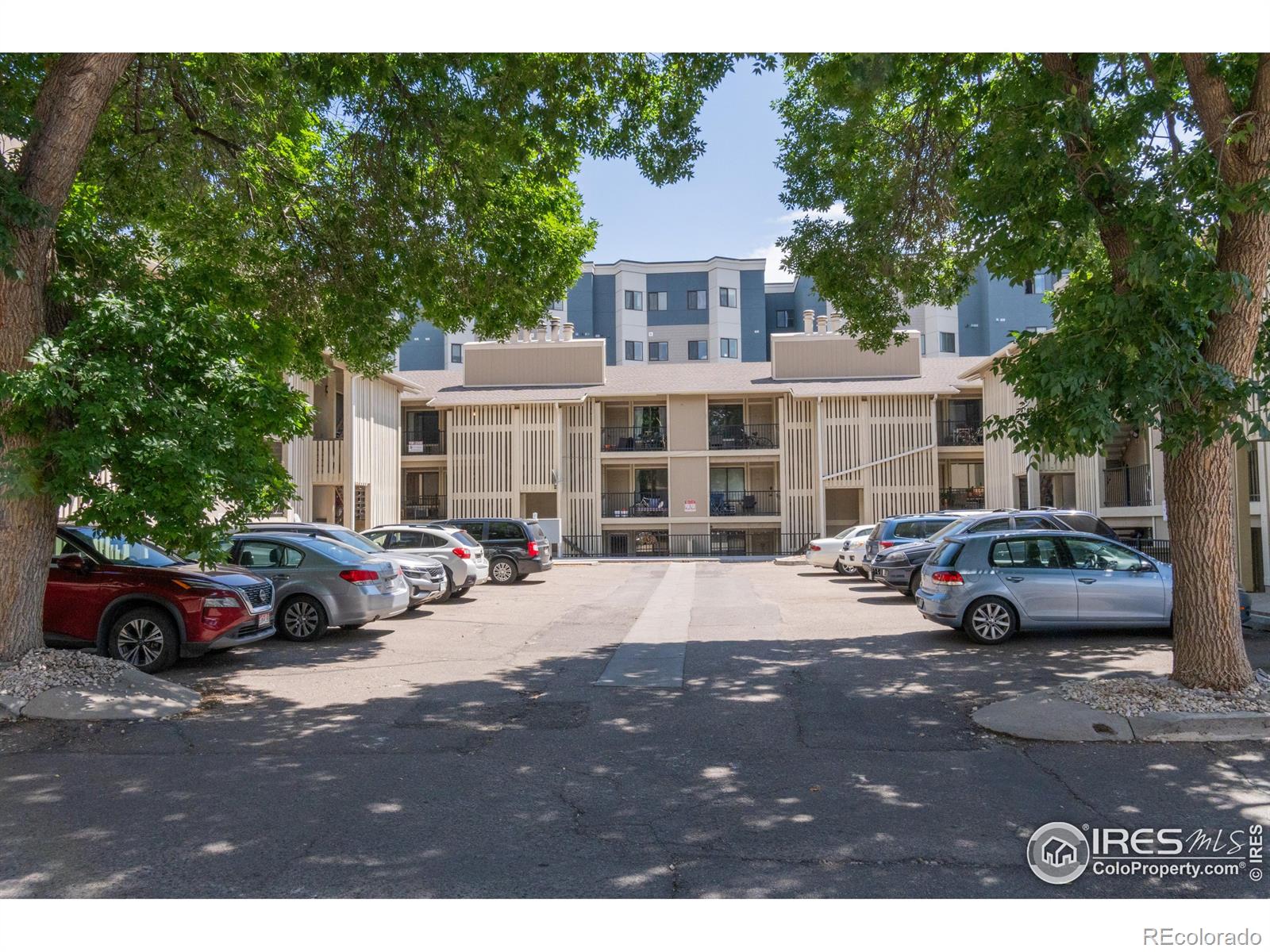 1209 W Plum Street 7