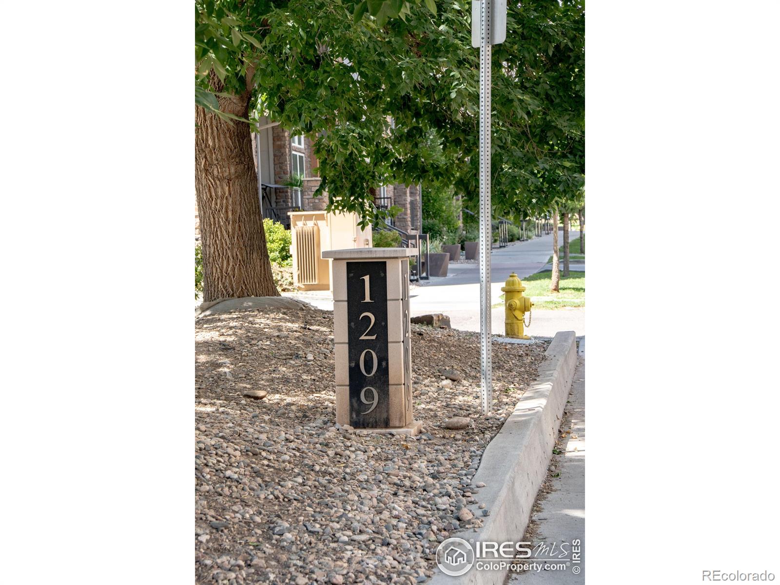 1209 W Plum Street 7
