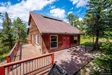 33623 Freda Road Pine CO 80470